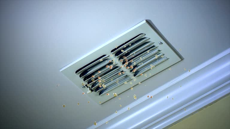 Best Emergency Air Duct Cleaning  in Red Bank, TN